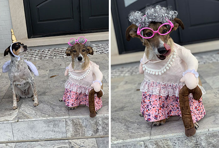 The Perfect Halloween Costume For A Lady With Arthritis Doesn’t Exist