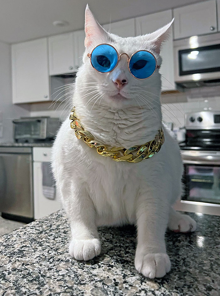 Does Her Halloween Costume Make Her Look Fat? Be Honest