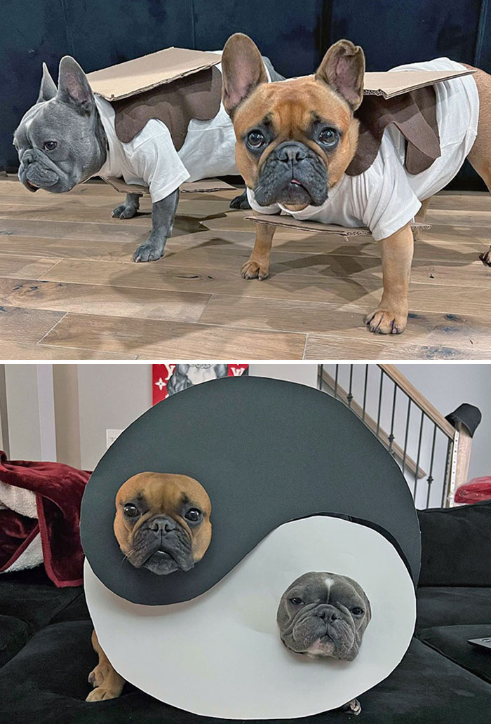 Happy Halloween. Which One Is Better S'mores Or Yin And Yang 