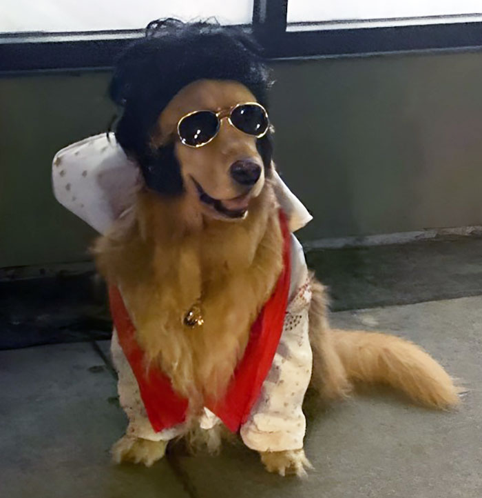 Elvis Resurrected For Halloween