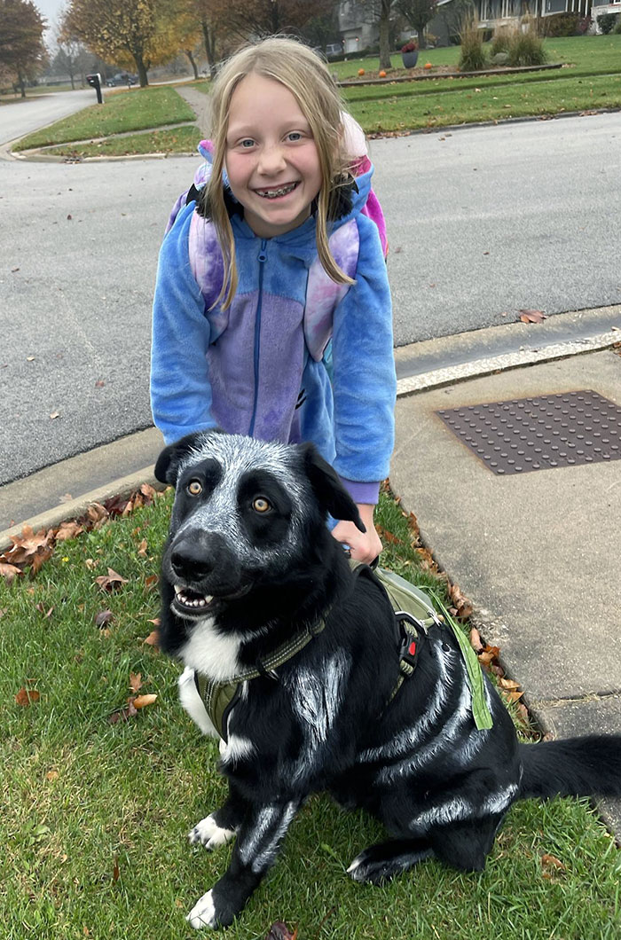 Skeleton Dog On Halloween