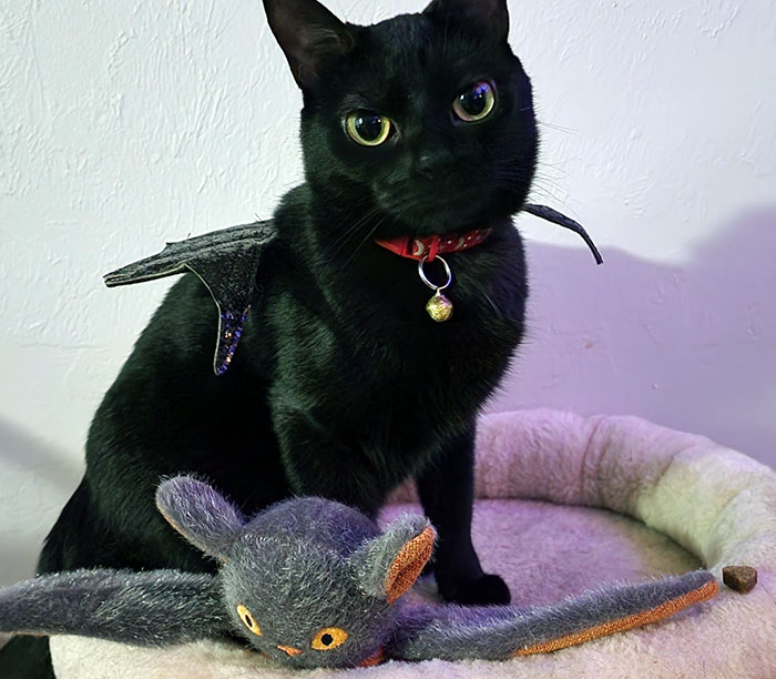 Happy Halloween From Lucifina