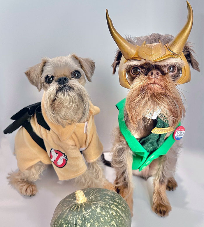 Trick Or Treat, Smell Our Feet, Give Us Something Good To Eat. Happy Halloween Friends