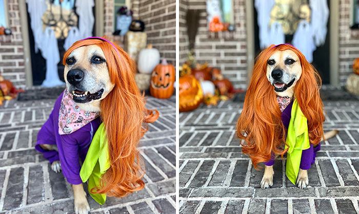 Hola Daphanatics. Daphne Blake Here