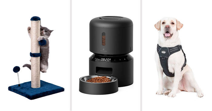 Score Big Savings on Pet Essentials During Prime Day