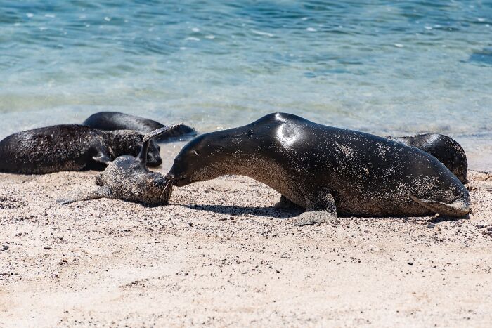 People Online Talk About The 31 Things They Did Once And Promised “Never Again” 