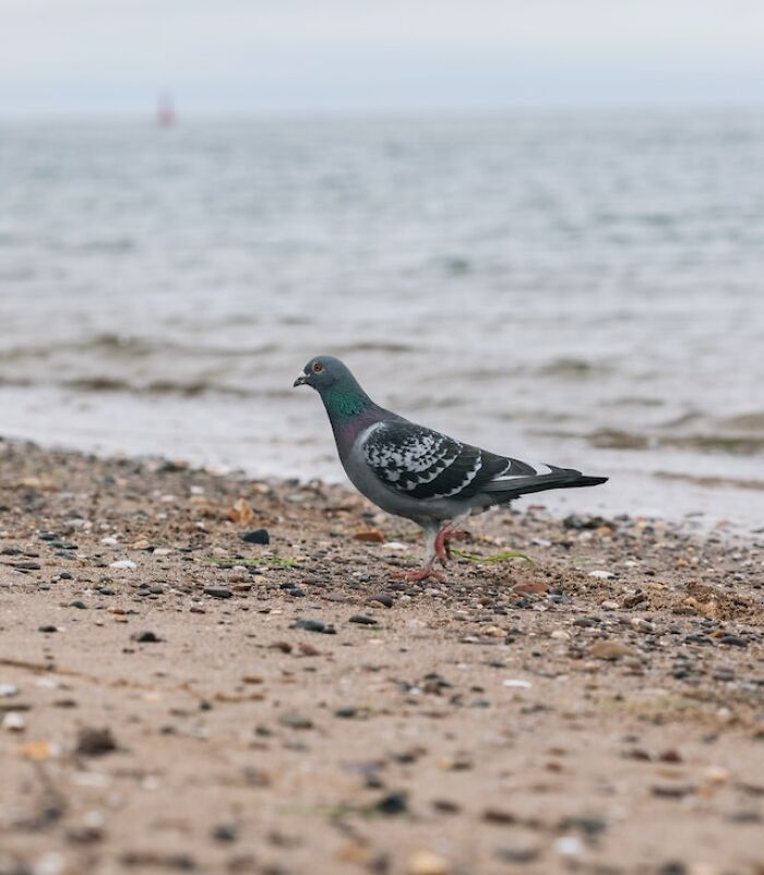 “Why Babysitter, What Did We Do Wrong?”: 30 Unresolved Mysteries People Doubt They'll Ever Solve