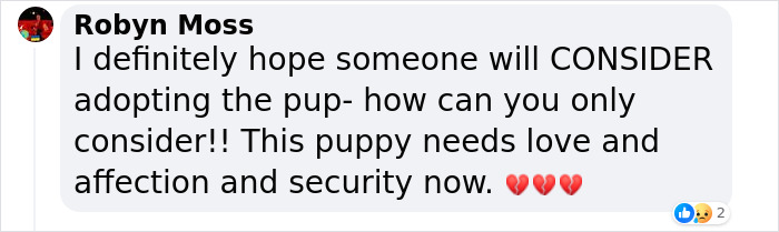 Lisa Kudrow &ldquo;Wants To Adopt Matthew Perry's Dog&rdquo; As She Shares Sad Theory Behind His Death