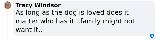 Lisa Kudrow &ldquo;Wants To Adopt Matthew Perry's Dog&rdquo; As She Shares Sad Theory Behind His Death