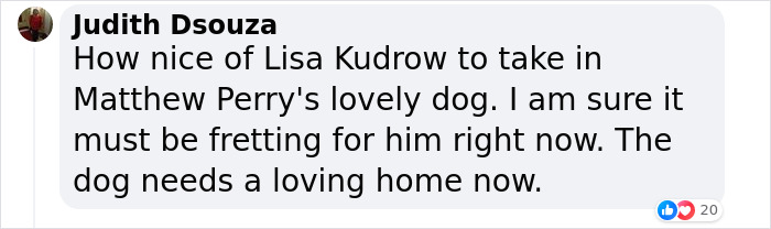 Lisa Kudrow &ldquo;Wants To Adopt Matthew Perry's Dog&rdquo; As She Shares Sad Theory Behind His Death