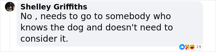 Lisa Kudrow &ldquo;Wants To Adopt Matthew Perry's Dog&rdquo; As She Shares Sad Theory Behind His Death