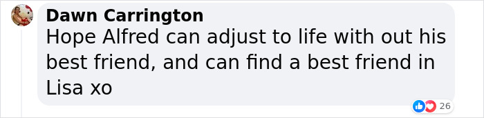 Lisa Kudrow &ldquo;Wants To Adopt Matthew Perry's Dog&rdquo; As She Shares Sad Theory Behind His Death