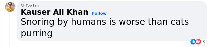 "A Great Surprise": Scientists Stunned After Discovering How Cats Purr