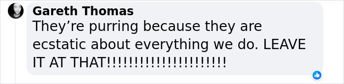 "A Great Surprise": Scientists Stunned After Discovering How Cats Purr