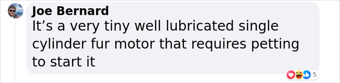 "A Great Surprise": Scientists Stunned After Discovering How Cats Purr