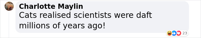 "A Great Surprise": Scientists Stunned After Discovering How Cats Purr