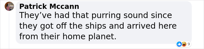 "A Great Surprise": Scientists Stunned After Discovering How Cats Purr