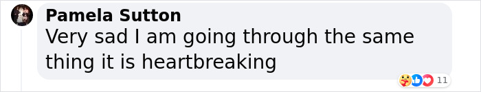 'Die Hard' Star Bruce Willis “Lost His Language Skills And Joie De Vivre” Amid His Battle With Dementia 'Die Hard' Star Bruce Willis “Lost His Language Skills And Joie De Vivre” Amid His Battle With Dementia