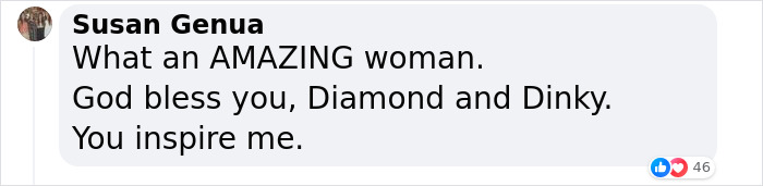 82 Y.O. Hiker Just Returned From Epic 600-Mile Horseback Journey With Her 10 Y.O. Dog In Tow