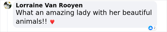 82 Y.O. Hiker Just Returned From Epic 600-Mile Horseback Journey With Her 10 Y.O. Dog In Tow