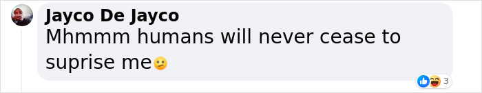 Man Crossbreeds Carolina Reaper With "Brutally Hot" Mystery Pepper, Beats His Own Guinness World Record