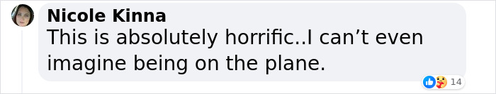 Pilot Faces Charges For Attempted Murder After "Mental Breakdown" Led To Near Disaster Mid-Flight