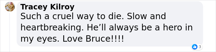 'Die Hard' Star Bruce Willis “Lost His Language Skills And Joie De Vivre” Amid His Battle With Dementia 'Die Hard' Star Bruce Willis “Lost His Language Skills And Joie De Vivre” Amid His Battle With Dementia