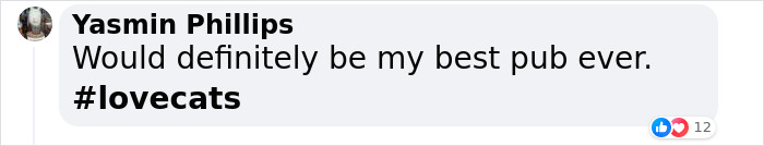 Man Opens A Pub, Starts Taking Stray Kitties In And Ends Up With Bristol’s First Cat Pub Man Opens A Pub, Starts Taking Stray Kitties In And Ends Up With Bristol’s First Cat Pub