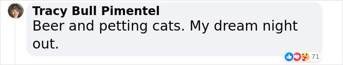 Man Opens A Pub, Starts Taking Stray Kitties In And Ends Up With Bristol’s First Cat Pub Man Opens A Pub, Starts Taking Stray Kitties In And Ends Up With Bristol’s First Cat Pub