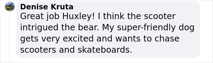 7-Year-Old Boy Goes Face-To-Face With A Bear, Gets Saved By A Brave Neighbor 7-Year-Old Boy Goes Face-To-Face With A Bear, Gets Saved By A Brave Neighbor