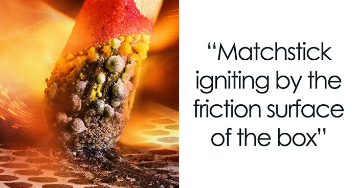 30 Jaw-Dropping Science Images From The 2023 Nikon Small World Photomicrography Competition