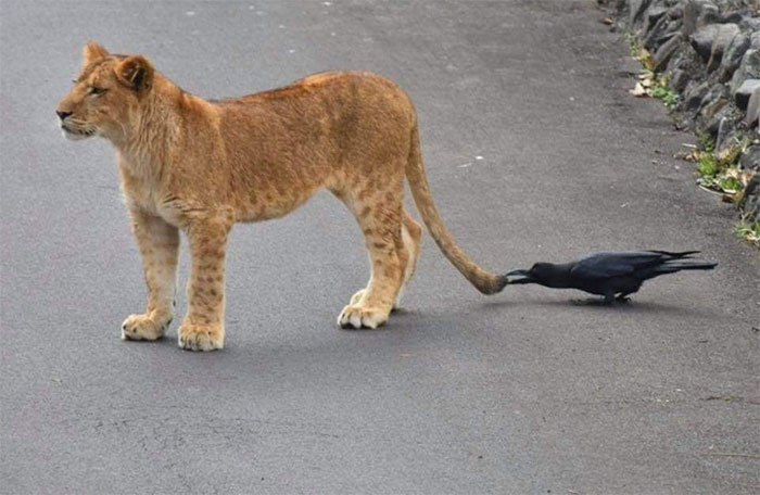 "Photos Taken Before Disaster": 45 Pics That Foreshadow Unfortunate Events