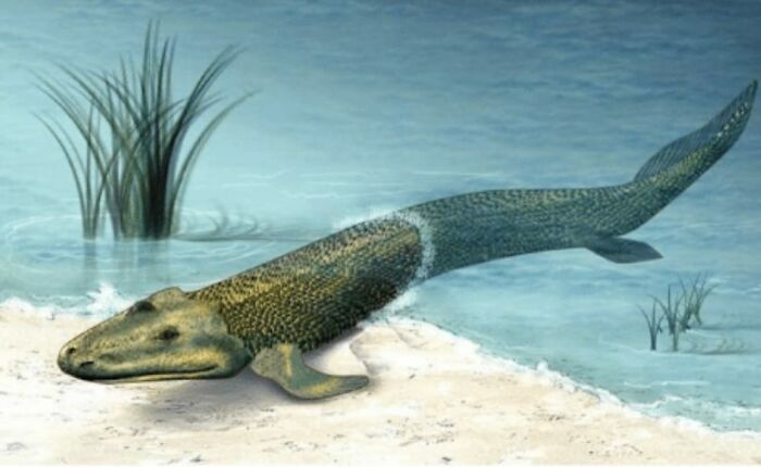 Photos-Taken-Before-Disaster