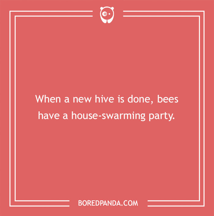 Play with words joke