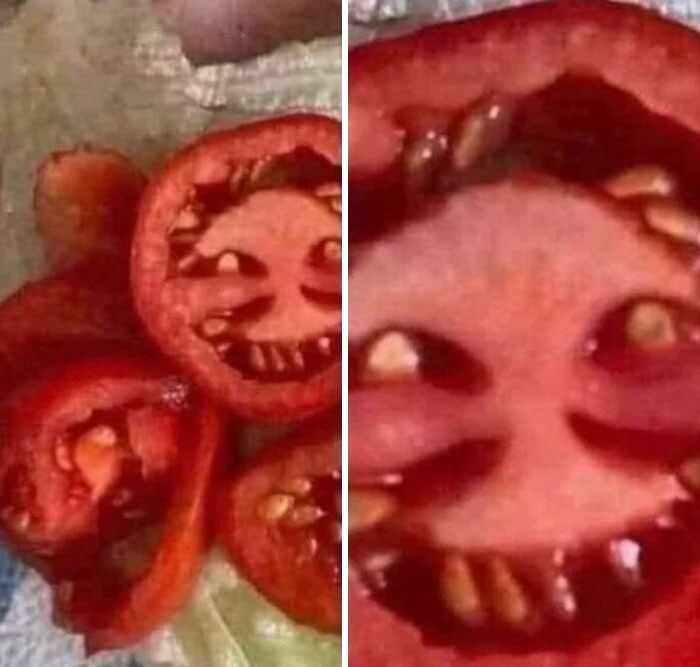 ‘Please Hesitate To Reach Out’: 50 Pics That Are Beyond Bizarre And Ridiculously Confusing