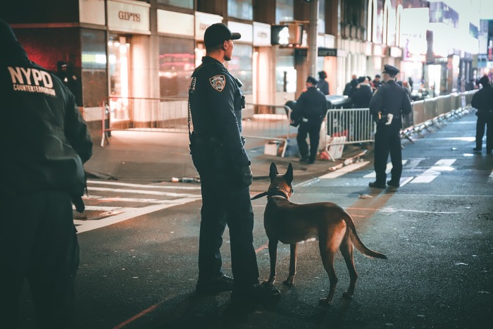 Police officer with a service dog patrolling a city street, showcasing why dogs are better partners in law enforcement. Police officer with a service dog patrolling a city street, showcasing why dogs are better partners in law enforcement.
