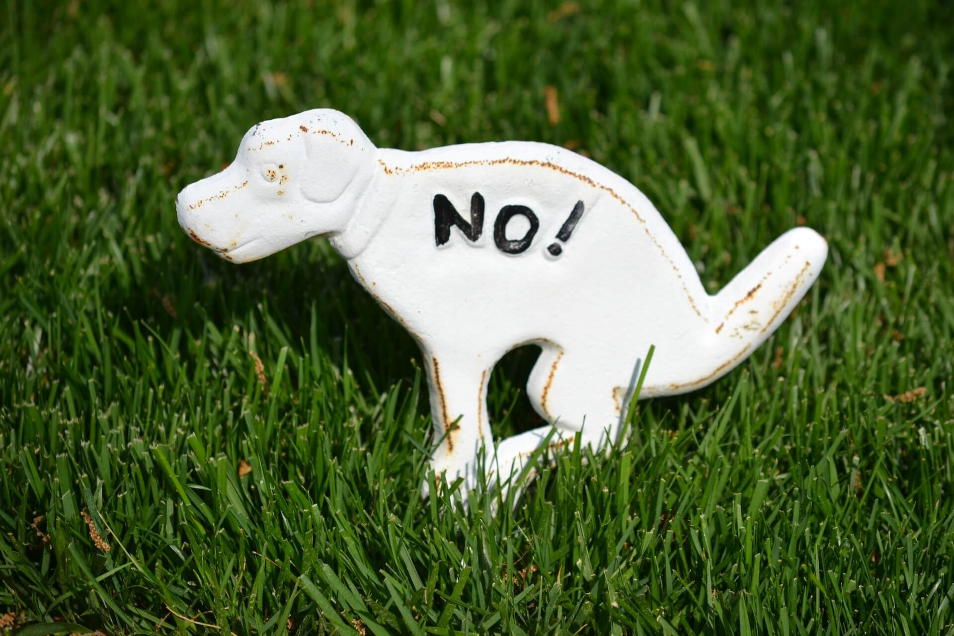 Decorative sign on grass to deter dogs from pooping in yard.