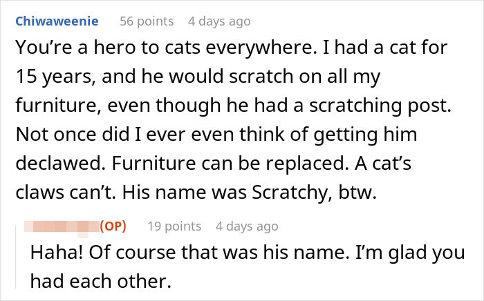 “I Thwarted This Attempt”: Woman Calls Shelter To Stop Ex-Friend From Adopting Kitten “I Thwarted This Attempt”: Woman Calls Shelter To Stop Ex-Friend From Adopting Kitten