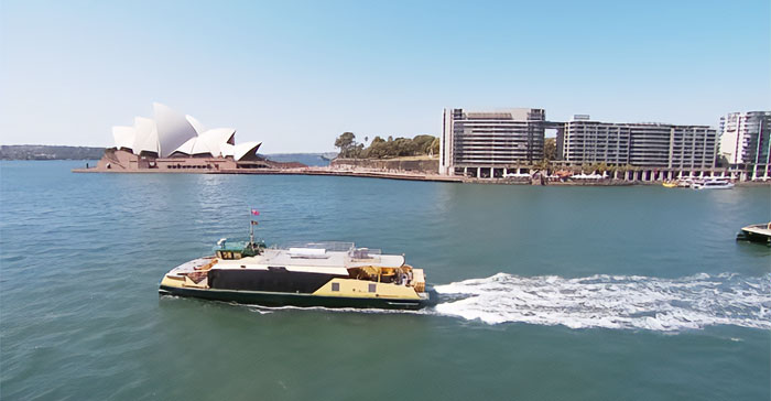 "We Have To Stay On Board Just To Stay Alive": Pensioners Book 51 Back-To-Back Cruises To Save Money