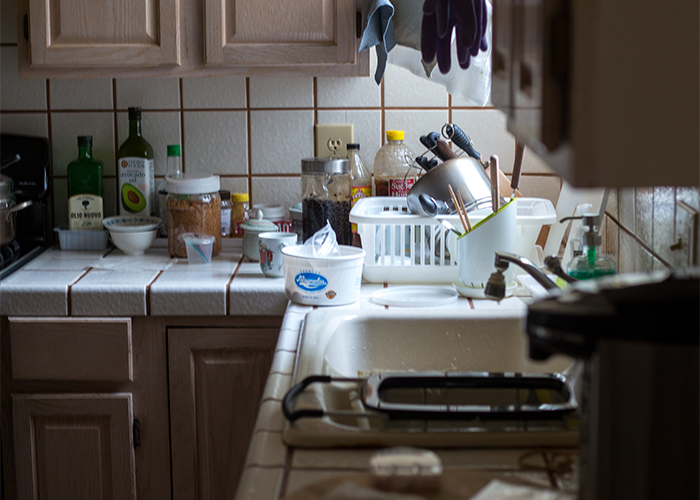 Person Lets Karma Do The Work After Leaving Home Complete Mess For Landlord To Find