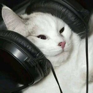 paisleymccormack avatar