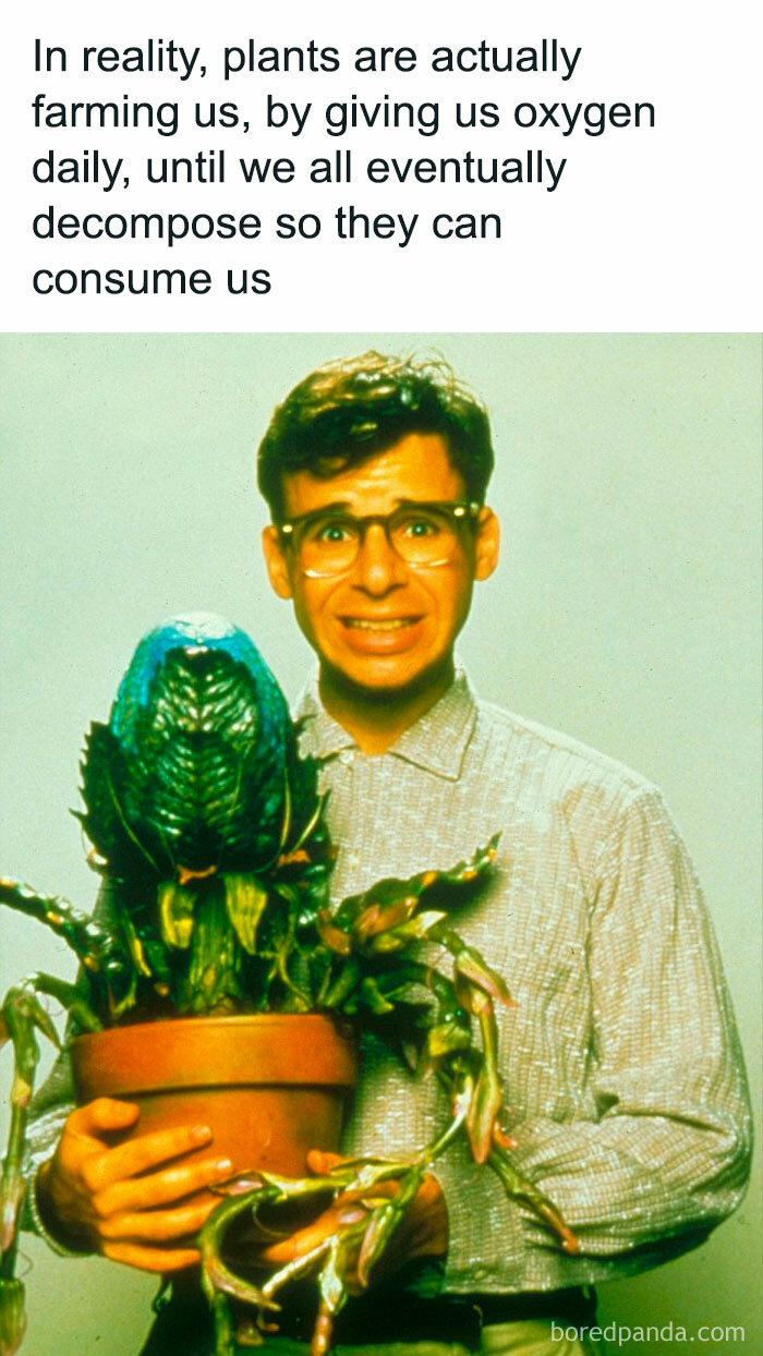 Science-Physics-Memes