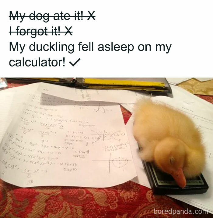 Science-Physics-Memes