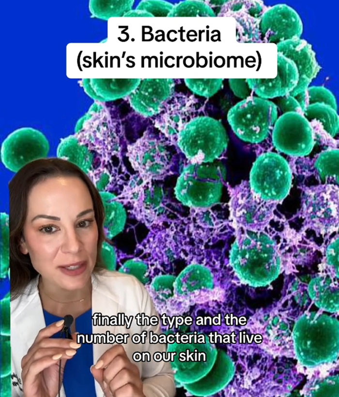 Dermatologist Explains What People Are &lsquo;Mosquito Magnets&rsquo; And How To Avoid The Annoying Bugs