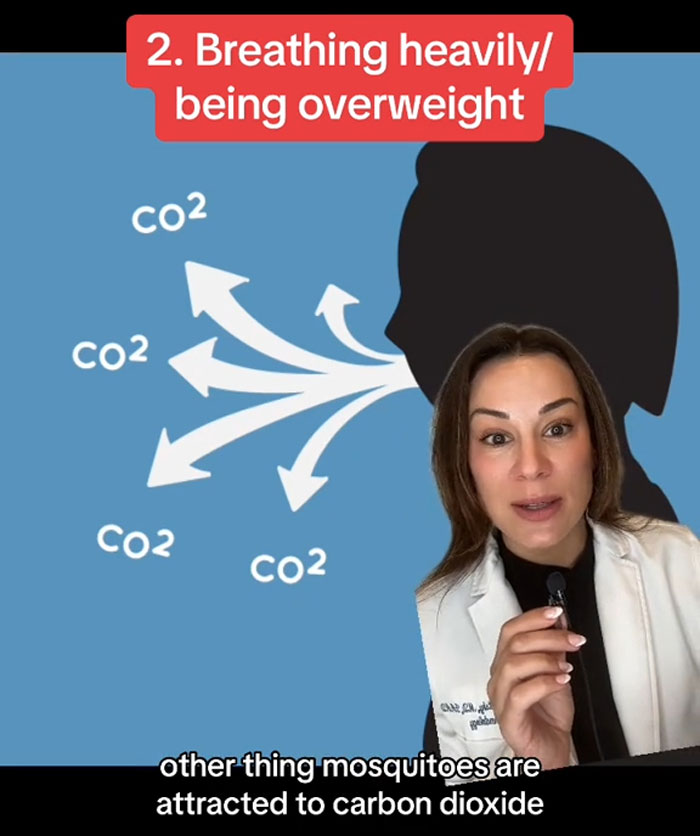 Dermatologist Explains What People Are &lsquo;Mosquito Magnets&rsquo; And How To Avoid The Annoying Bugs