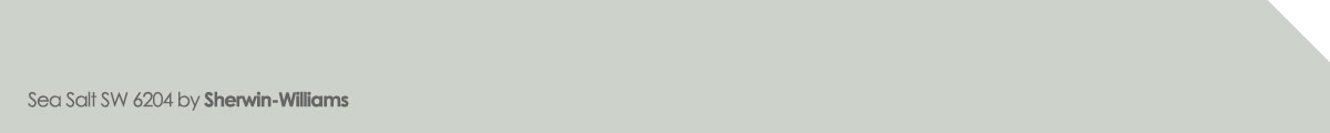 Sea Salt SW 6204 paint color sample by Sherwin-Williams, a popular 2024 paint color option beyond gray.