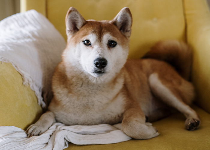 "I Started Dreading Our Nightly Facetimes": 30 People Share What Ended Their Relationships