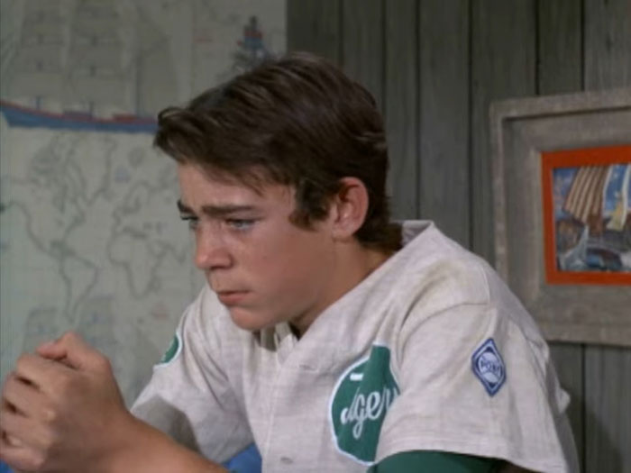 Greg Brady in The Brady Bunch