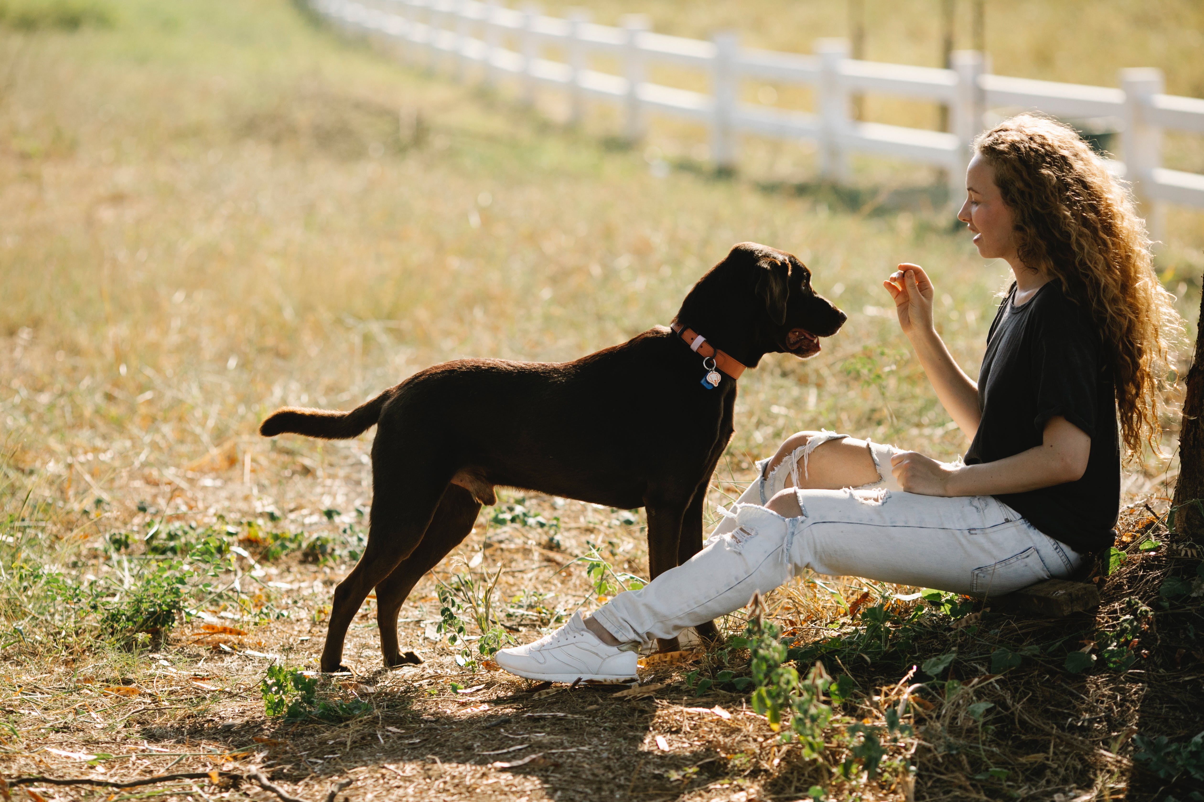 Person interacting with a dog outdoors, managing wake aggression naturally.