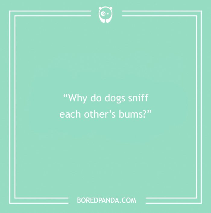 The Most Stupid Questions to Make You Laugh and Think